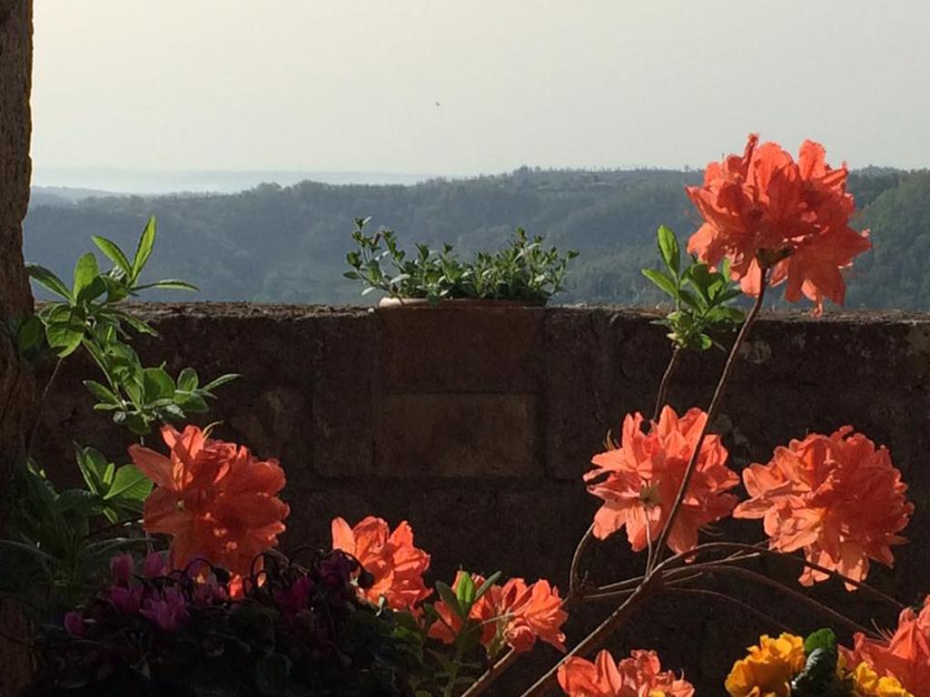 L'Incanto Di Civita Bagnoregio Exterior foto